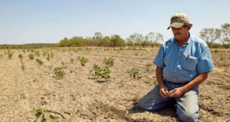 Jornaleros pueden solicitar pensión en Estados Unidos