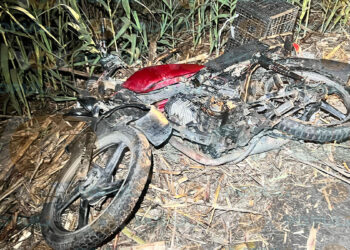 Motociclista muere tras chocar contra tráiler en la carretera Victoria-Mante