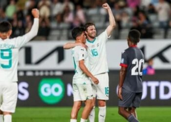 Nueva Zelanda Copa del Mundo