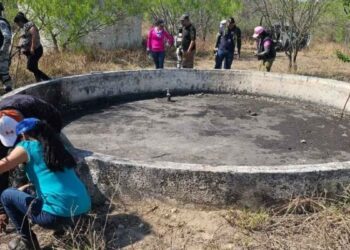Nuevo hallazgo de restos óseos en Reynosa por el colectivo Amor por los Desaparecidos