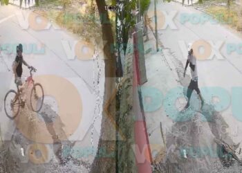 Pareja de ladrones es captada robando una casa a plena luz del día en Ciudad Victoria