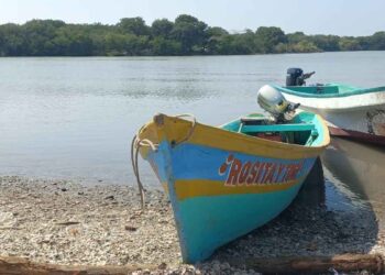 Pescadores de Pueblo Viejo, Veracruz denuncian violación de sus derechos por el gobierno municipal