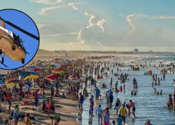 Ciudad Madero refuerza seguridad en Semana Santa