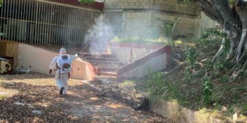 Prevención del dengue en Ciudad Madero