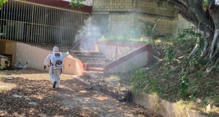 Prevención del dengue en Ciudad Madero