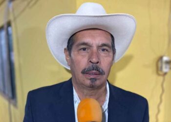 Productores de cítricos en Tamaulipas enfrentan pérdidas por clima extremo