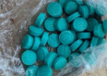 Productores “independientes” en México están incrementando la fabricación del fentanilo: Directora nacional de inteligencia de EU