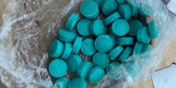 Productores “independientes” en México están incrementando la fabricación del fentanilo: Directora nacional de inteligencia de EU