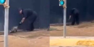 Profepa presenta denuncia tras brutal agresión a tlacuache en Nuevo León