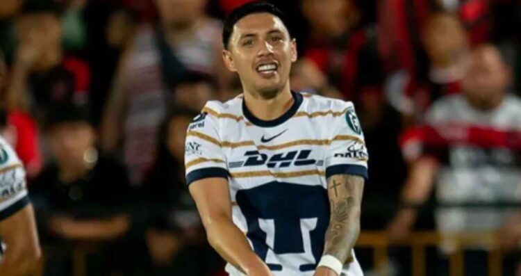Pumas (1)