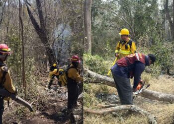 Realiza Protección Civil operaciones permanentes de control de incendios forestales en Tamaulipas