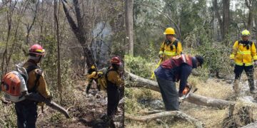Realiza Protección Civil operaciones permanentes de control de incendios forestales en Tamaulipas
