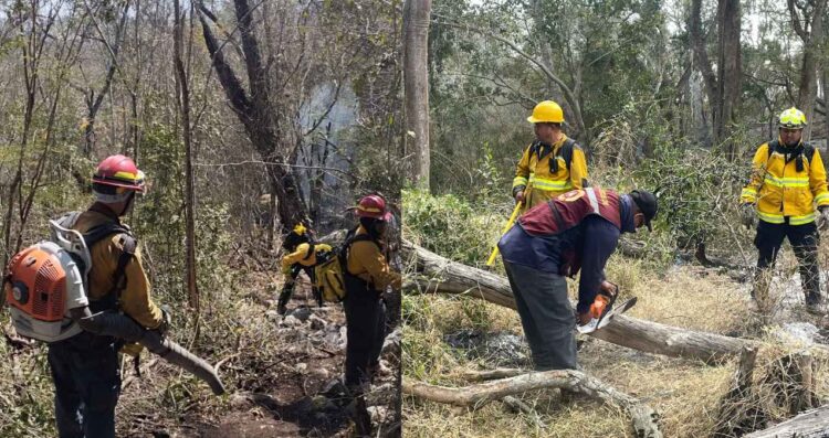 Realiza Protección Civil operaciones permanentes de control de incendios forestales en Tamaulipas