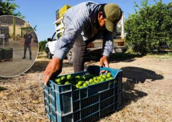 Empacadoras reanudan actividades y otras cierran en Apatzingán, Michoacán