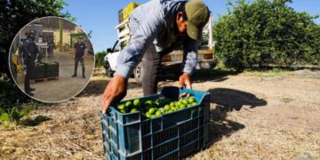 Empacadoras reanudan actividades y otras cierran en Apatzingán, Michoacán
