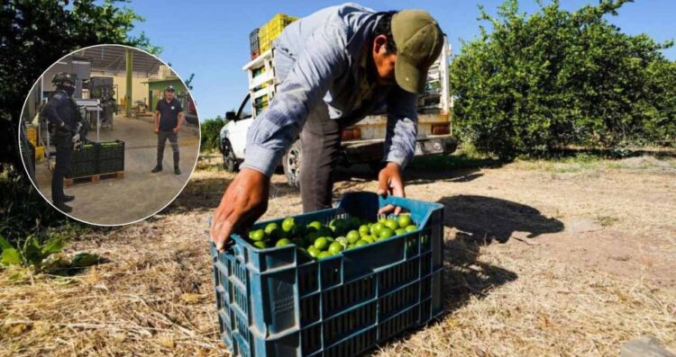 Empacadoras reanudan actividades y otras cierran en Apatzingán, Michoacán