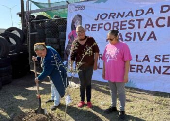 Reforestación Nuevo Laredo