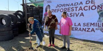 Reforestación Nuevo Laredo