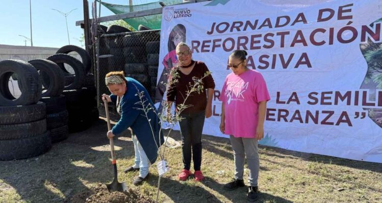 Reforestación Nuevo Laredo