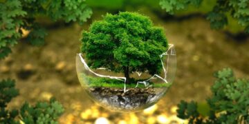 Todo lo que hay que saber sobre la norma ISO 14000