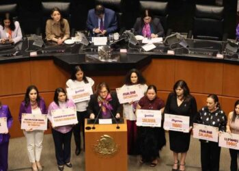 Senado maíz transgénico
