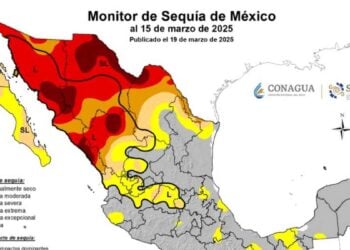 Siete municipios de Tamaulipas enfrentan sequía severa, reporta Conagua