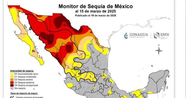 Siete municipios de Tamaulipas enfrentan sequía severa, reporta Conagua