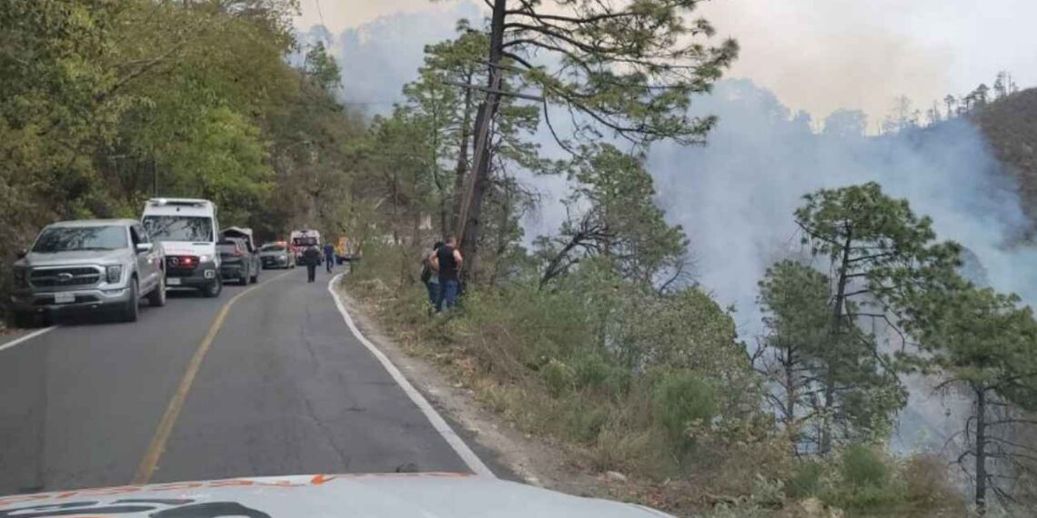 Tragedia Cola de Caballo