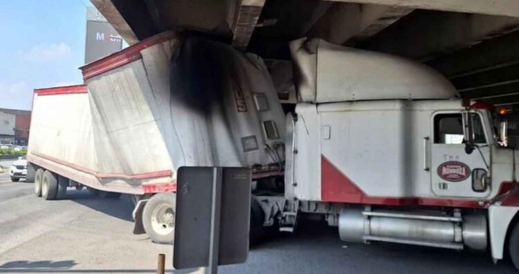 Tráiler atora San Nicolás (1)