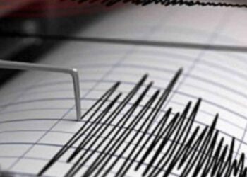 Un sismo de magnitud 6.8 sacude la isla sur de Nueva Zelanda; autoridades evalúan posible tsunami