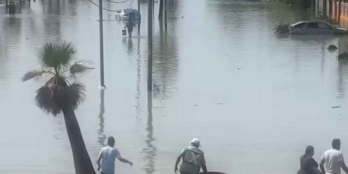 Reynosa bulevar Oriente