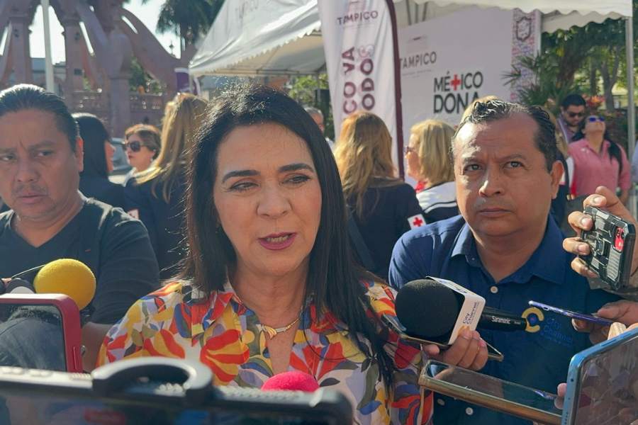 amalia avalos medina