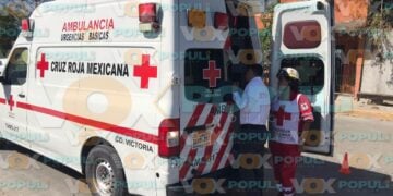 ataque de enjambre de abejas en Ciudad Victoria
