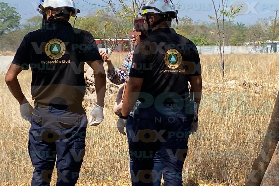 ataque de perro a mujer en Mante