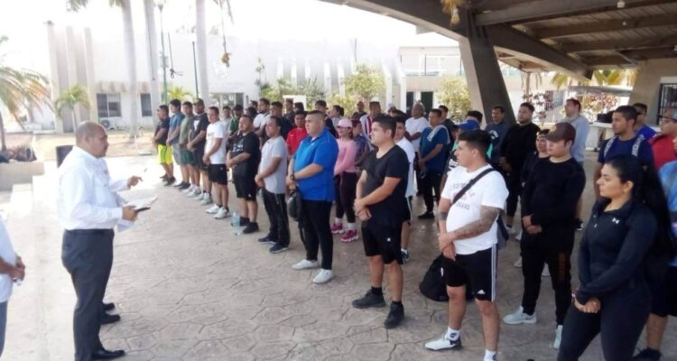 auxiliares viales en Ciudad Madero
