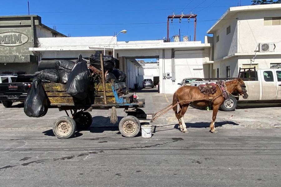 basureros clandestinos Matamoros