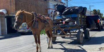 basureros clandestinos Matamoros