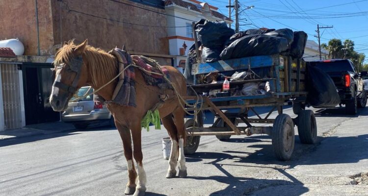 basureros clandestinos Matamoros