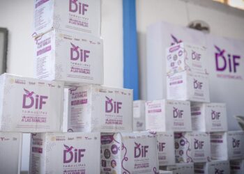 canastas alimentarias del DIF Tamaulipas