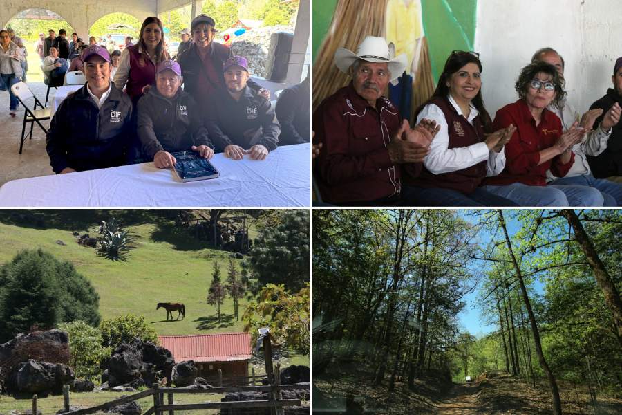 conservación de la Reserva de la Biósfera El Cielo