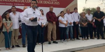 control del dengue en Victoria