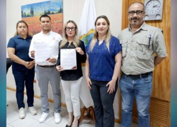 guías de estudio a CEDES Tamaulipas