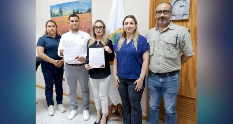 guías de estudio a CEDES Tamaulipas