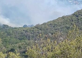 _incendio Linares-Galeana