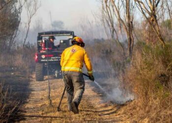 incendio pastizal Montemorelos