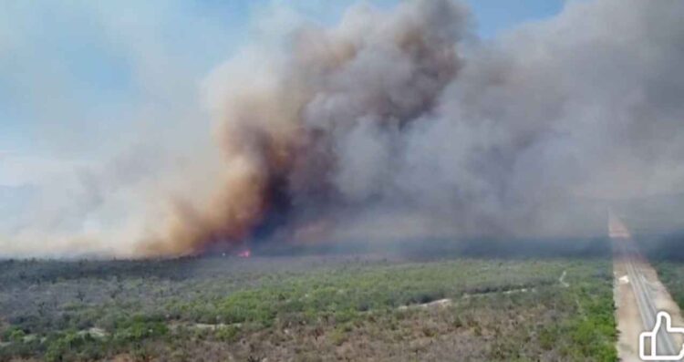 Fuerte incendio provoca cierre de la vialidad en la Carretera Libre a Nuevo Laredo