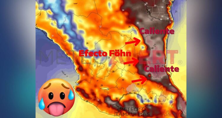 incendios en Tamaulipas