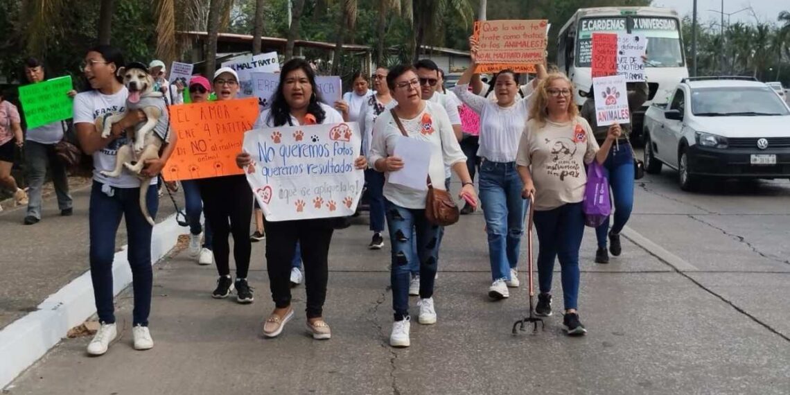 Maltrato animal Tampico