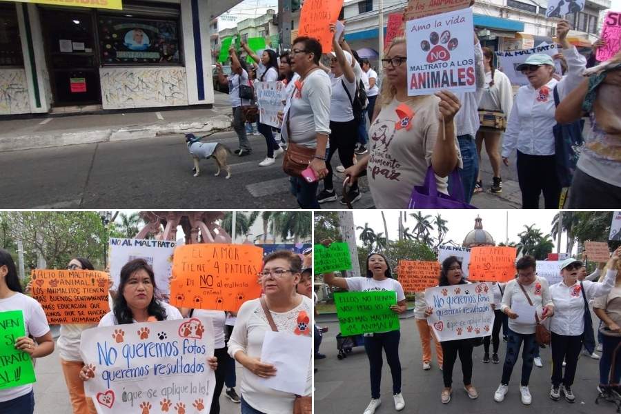 Maltrato animal Tampico