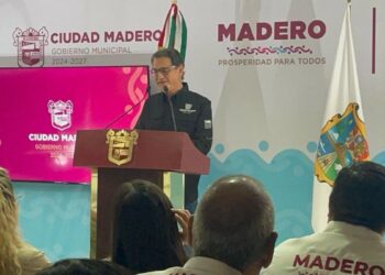 mapaches en Ciudad Madero